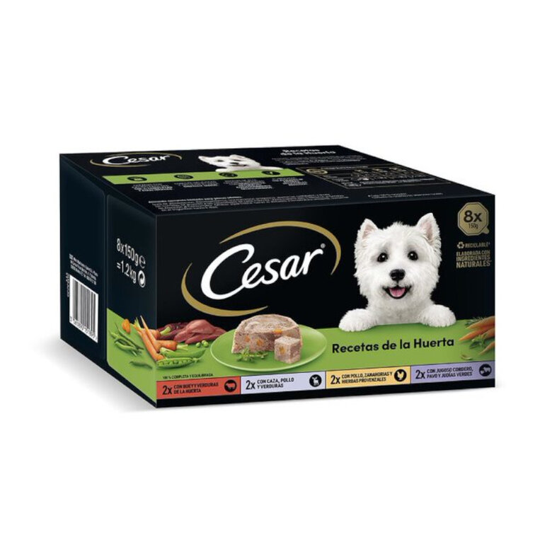 Cesar Recetas de la huerta Tarrina en Paté y Gelatina para Perros - Multipack, , large image number null